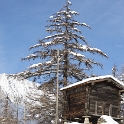 Saas-Almagell - 077